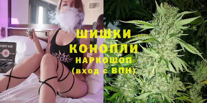 Марихуана SATIVA & INDICA  shop какой сайт  Кольчугино  где найти  